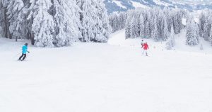 Winter Break Wrap-Up