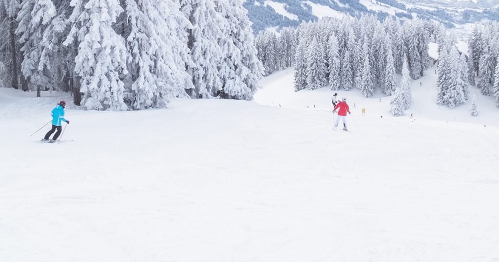 Winter Break Wrap-Up